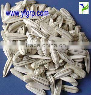 Yummy Food Company supply cheap bulk jumbo sunflower seeds