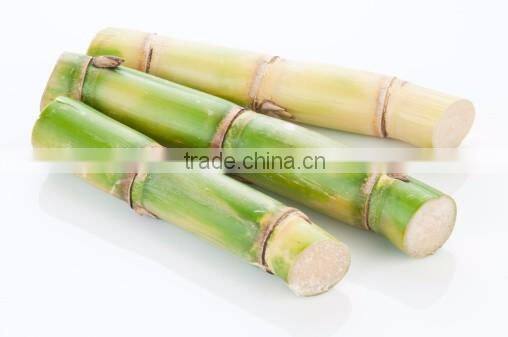 Frozen Sugarcane From VietNam QQ : 2598494113