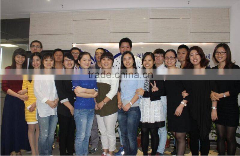 Aeropak Anti Puncture Proof Liquid Tyre Sealant Tyre tube sealant for Car