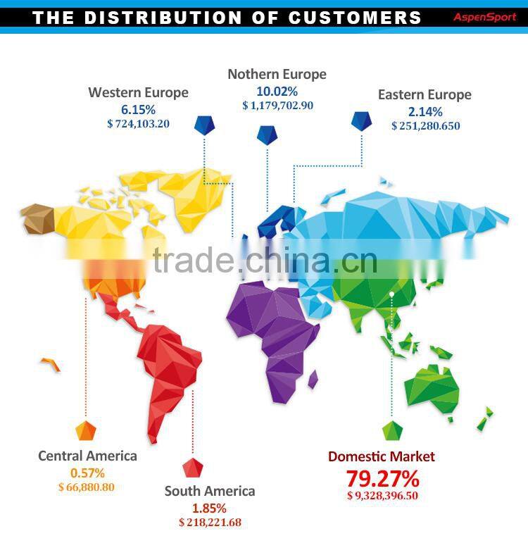 2016 new arrivial laptop backpack bag