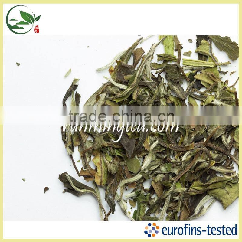 Lightly oxidized White Hair Silver Needle White Tea Best White Tea Brands