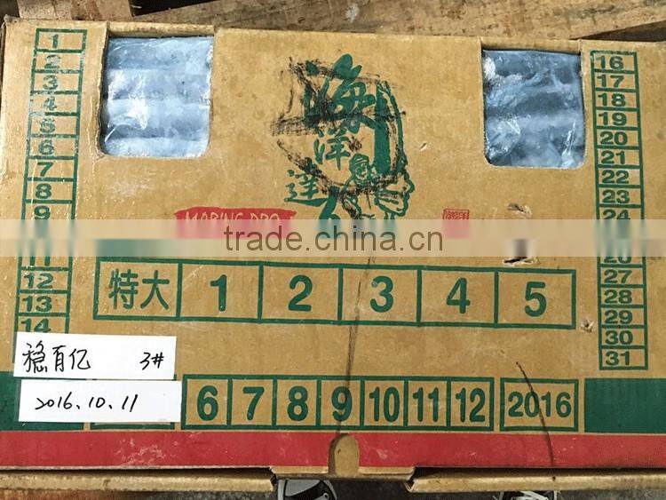 Thailand frozen pacific saury for canning