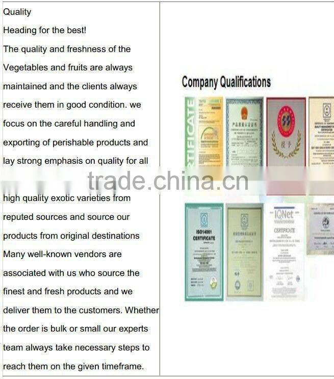 Fresh Onion Yellow Color