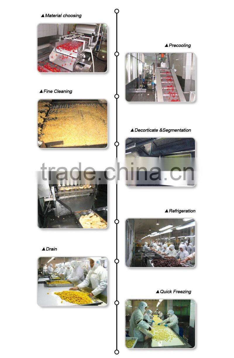 Hot selling grade A frozen chestnuts peeled packed