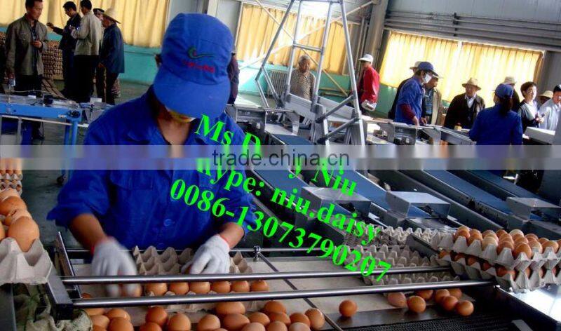 automatic egg weighing grading machine/egg grading packing machine/egg grader for packing