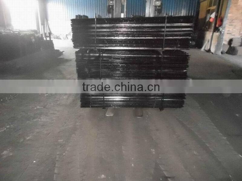 Australian star picket