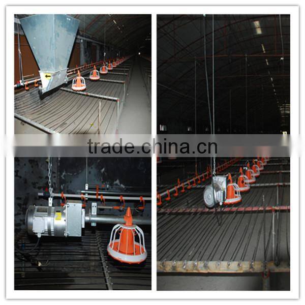 2014 automatic poultry feeding equipment for chicken broiler