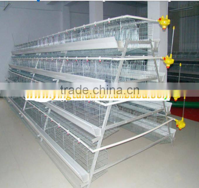 poultry dung removing machinery equipment /layer poultry cages for nigeria/africa