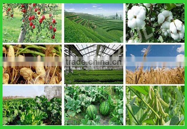 NPK 12-03-43 water soluble fertilizer