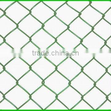 chain link Mesh Fence (ISO9001 factory dirctor)