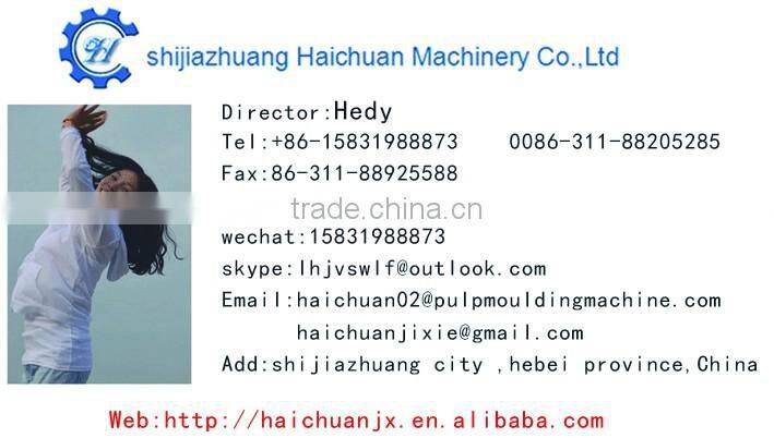 egg tray machine price egg cartoon box machine