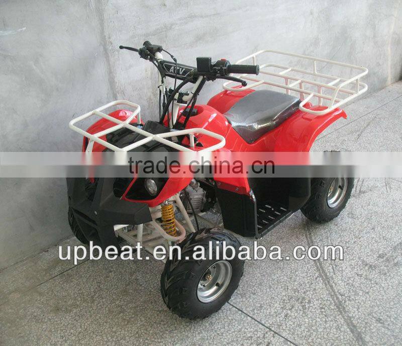 NEW DIRT AUTO QUAD BIKE ATV BUGGY 110cc PEEWEE CYCLONE