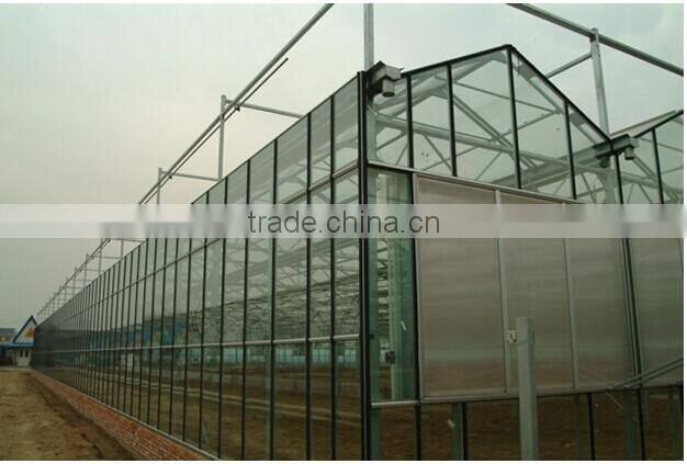 Venlo agricultural greenhouse