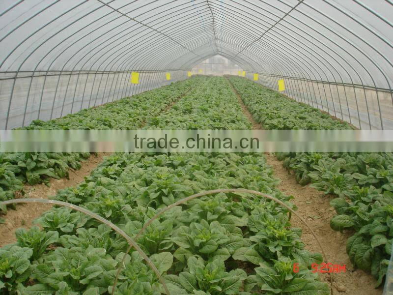 Multi span PE Cover Film PE greemhouse film for vegetable greenhouse