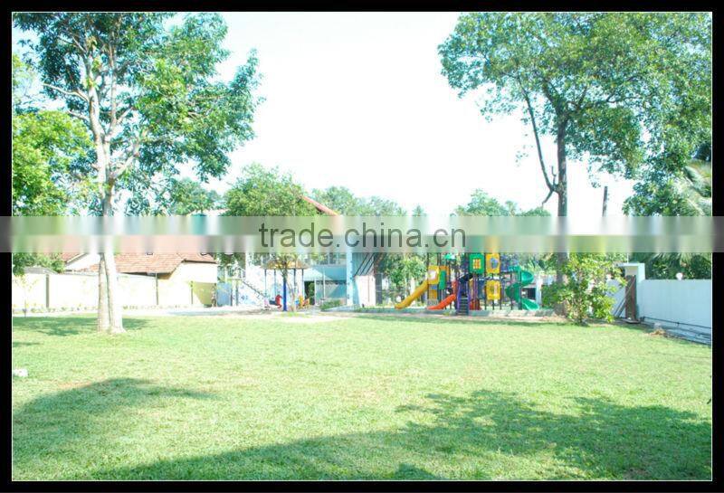 SAFE EN1176 STANDARD TROPICAL RAIN FORET SERIES CHILDREN OUTDOOR COMBINED SLIDE (HA-01601)