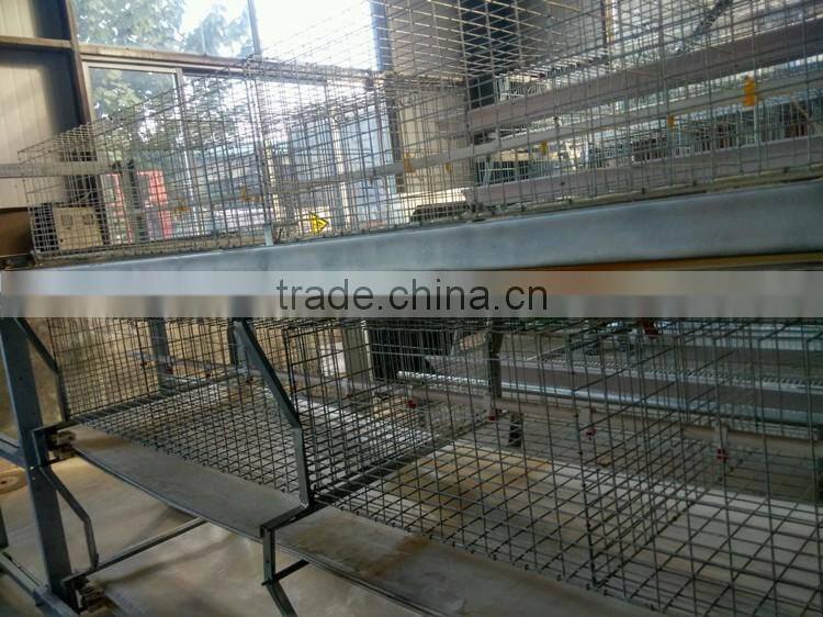 Shandong Heracles trade assurance poultry farming equipment chicken layer cage for sale