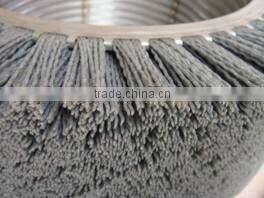 Nylon 612/PA612 /N612 Abrasive Filaments