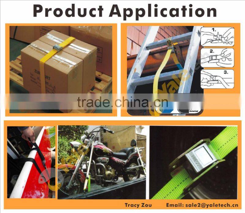 TUV/GS approved 25mm logistic cam buckle strap/cam lock buckle strap/lashing strap belt