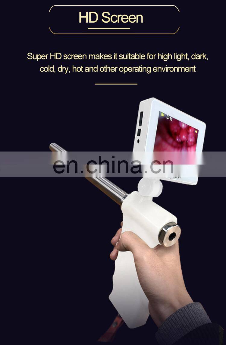 Cows Cattle Visual Insemination Gun Kit for Cows Cattle with/ Adjustable Screen Upgraded Version