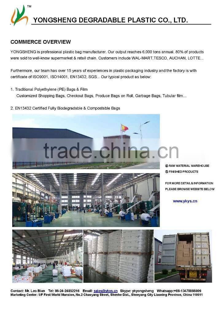 Die Cut Handle Bag, Punch Handle Bag, Promotion Bag