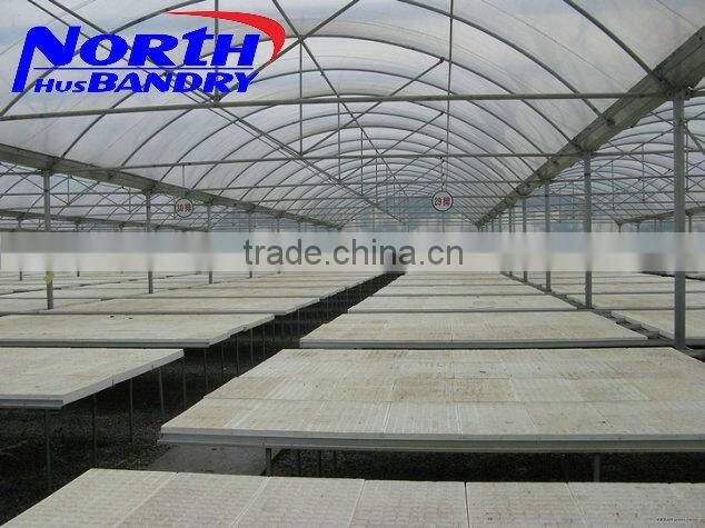 The Cheapest and Easily Installed Agricultural/ Commercial Green House