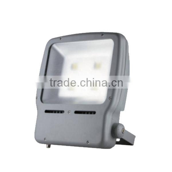 hot sale CE RoHS good quality 30W waterproof led floodlight 220V