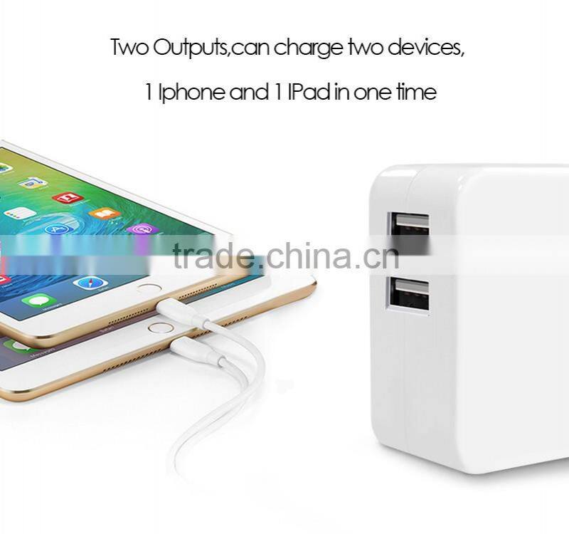 OEM supported 2 USB mini max power battery charger