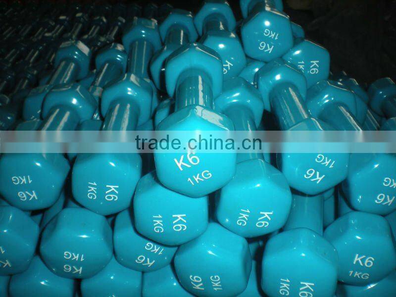 vinyl dipping hex dumbbell