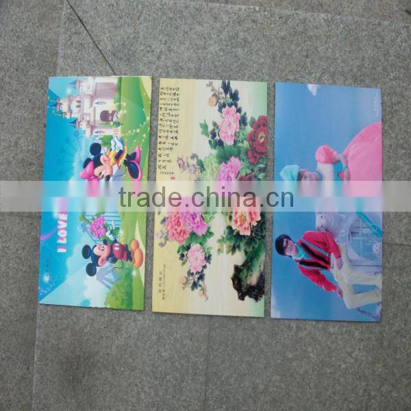 Eco solvent inkjet uv printer for any flat materials uncoating