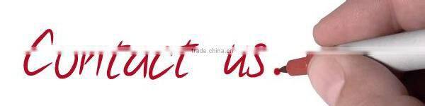 Hot selling stainless steel 2 burner outdoor gas barbecue grill