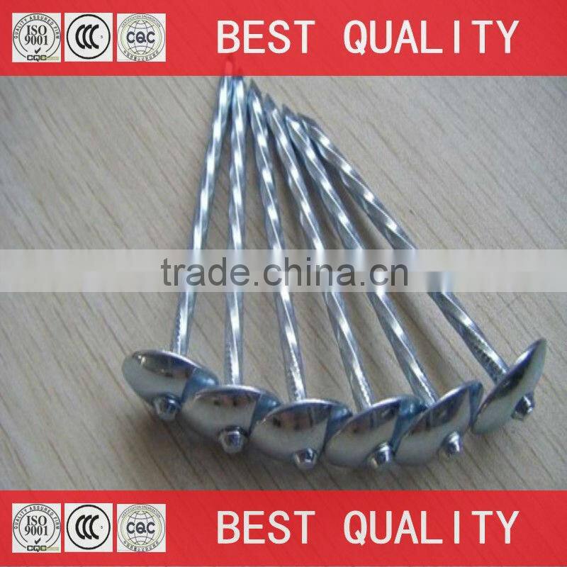 export africa Ghana Umbrella roofing nails