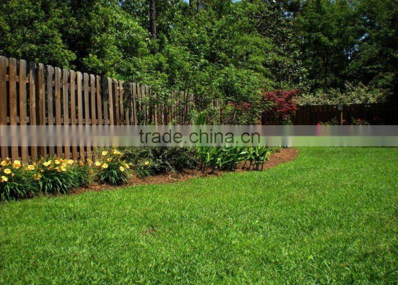 Quickly and high efficiency plant growth promoter Microorganism Bacterium Agent biological foliar fertilizer