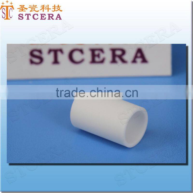 STCERA 99.5% Alumina Ceramic Piston Pump