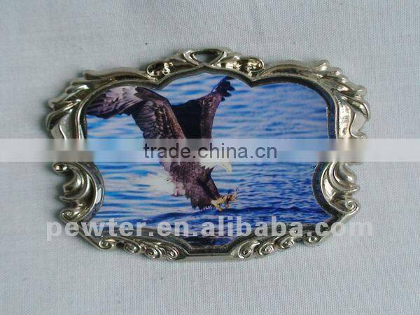 2012 dragonfly fridgemagnet 0073