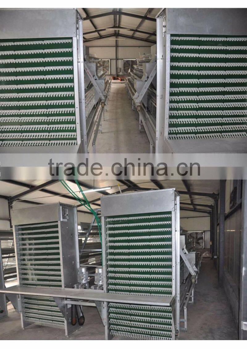 Hot selling in South africa A type layer cage for sale