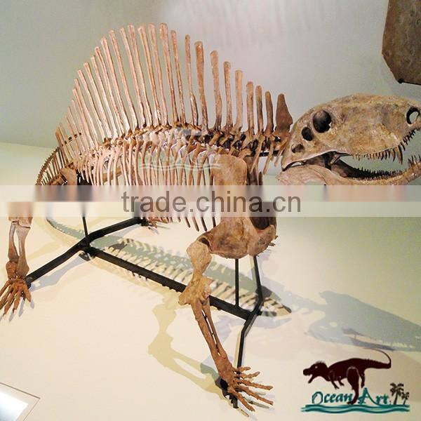 OA4019 Museum Quality realistic dinosaur replica model
