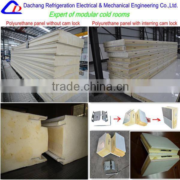 Vegetable cold storage assembled by PU cam lock panels