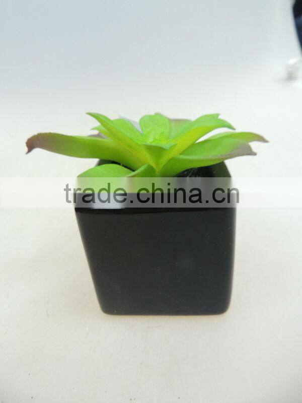 office desk decoration small pot plant