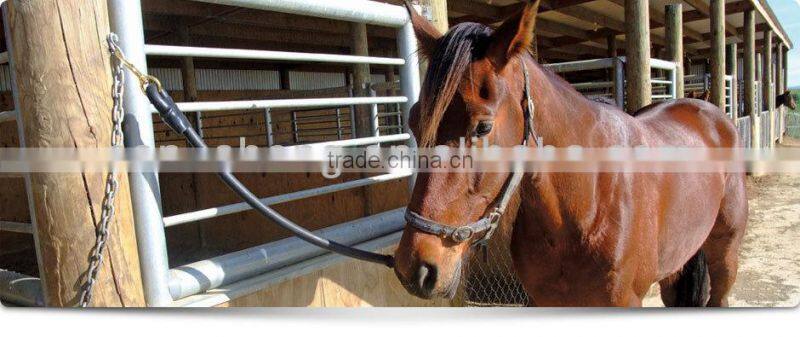 Horse stable trailer ramp mat