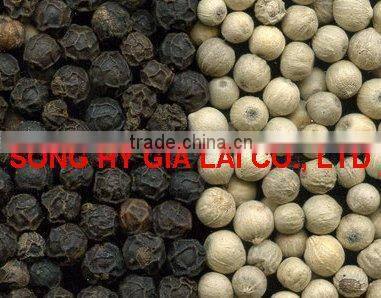 BLACK PEPPER 550GR/L CLEANED