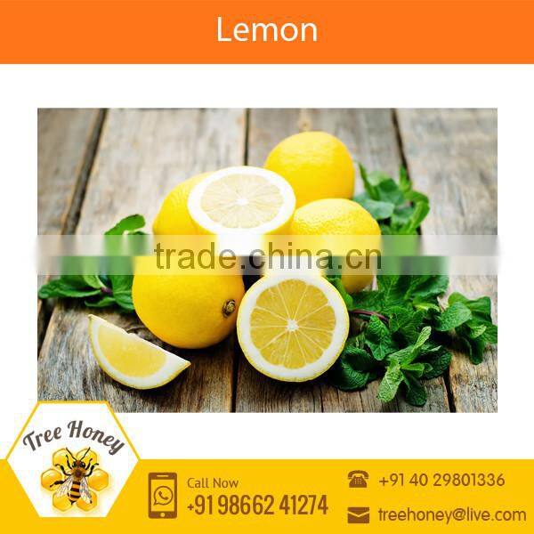 Tangy Fresh Indian Farm Lemon at Attractive Price