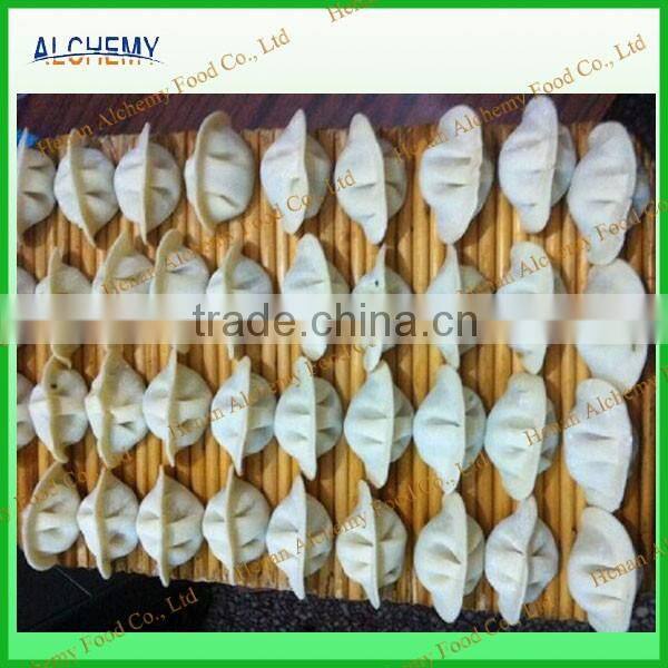 China product ravioli machine/dumpling machine
