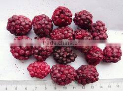 2016 Free Samples Freeze Dried Banana Factory Supply Low Price