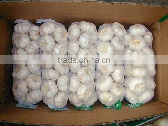 Dehydrated vegetable air dried white garlic