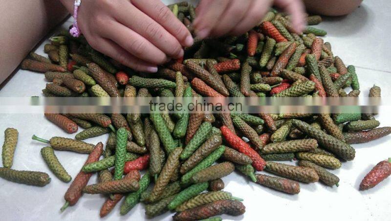 Long Pepper