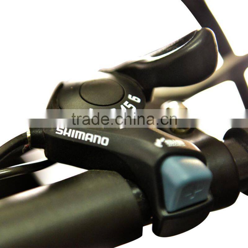 Three wheel triporteur electric cargo trike reverse trike for sale