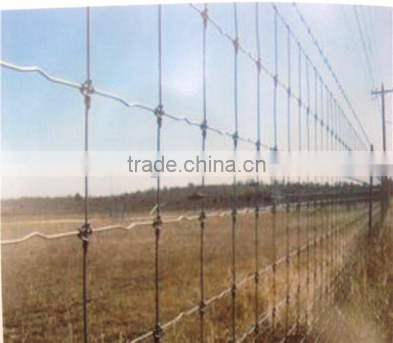 livestock field fence with high zinc coating