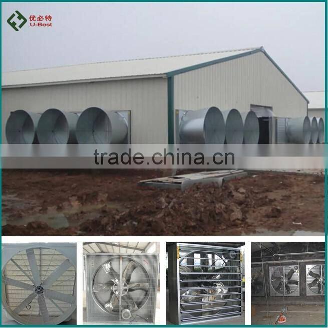 Chicken poultry farm equipment
