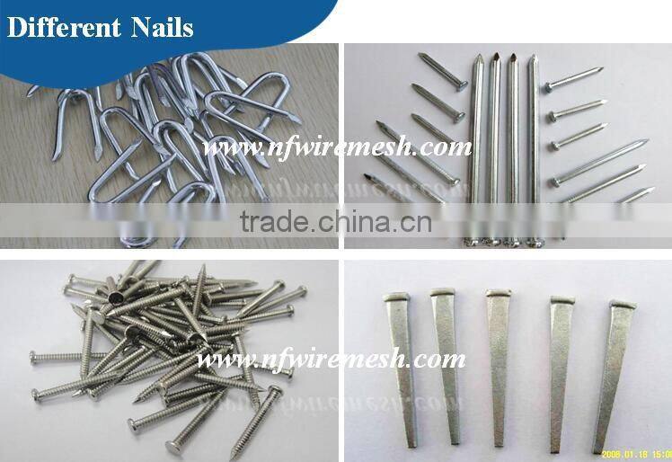 Pakistan high quality polished iron common wire nails for building(Guangzhou Factory)