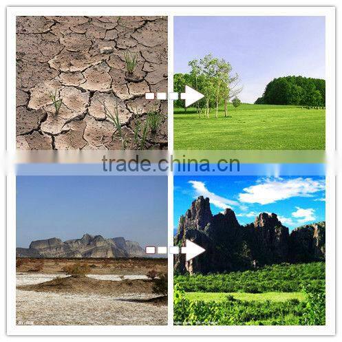 Marine Waste Incinerator from China